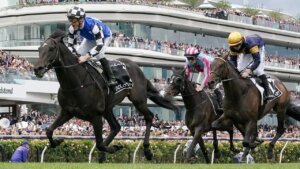 From silos to synergy—empowering Racing Victoria with a customer-centric CRM to connect clubs, owners, and fans like never before.